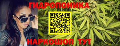 дмт Кинель
