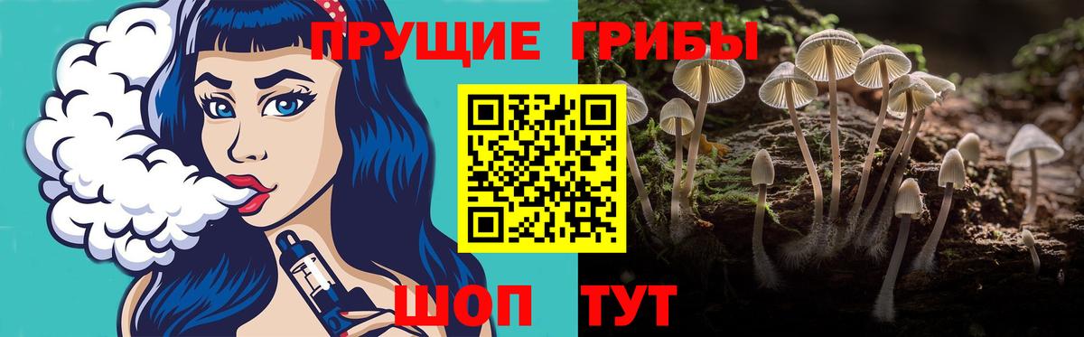 Псилоцибиновые грибы MAGIC MUSHROOMS  Вход с VPN  Псилоцибиновые грибы Psilocybe  Зеленогорск 